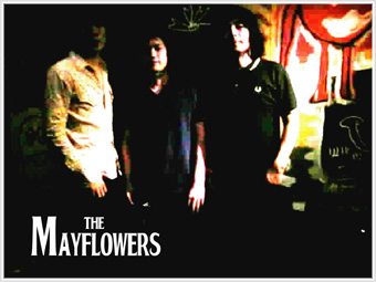 The Mayflowers